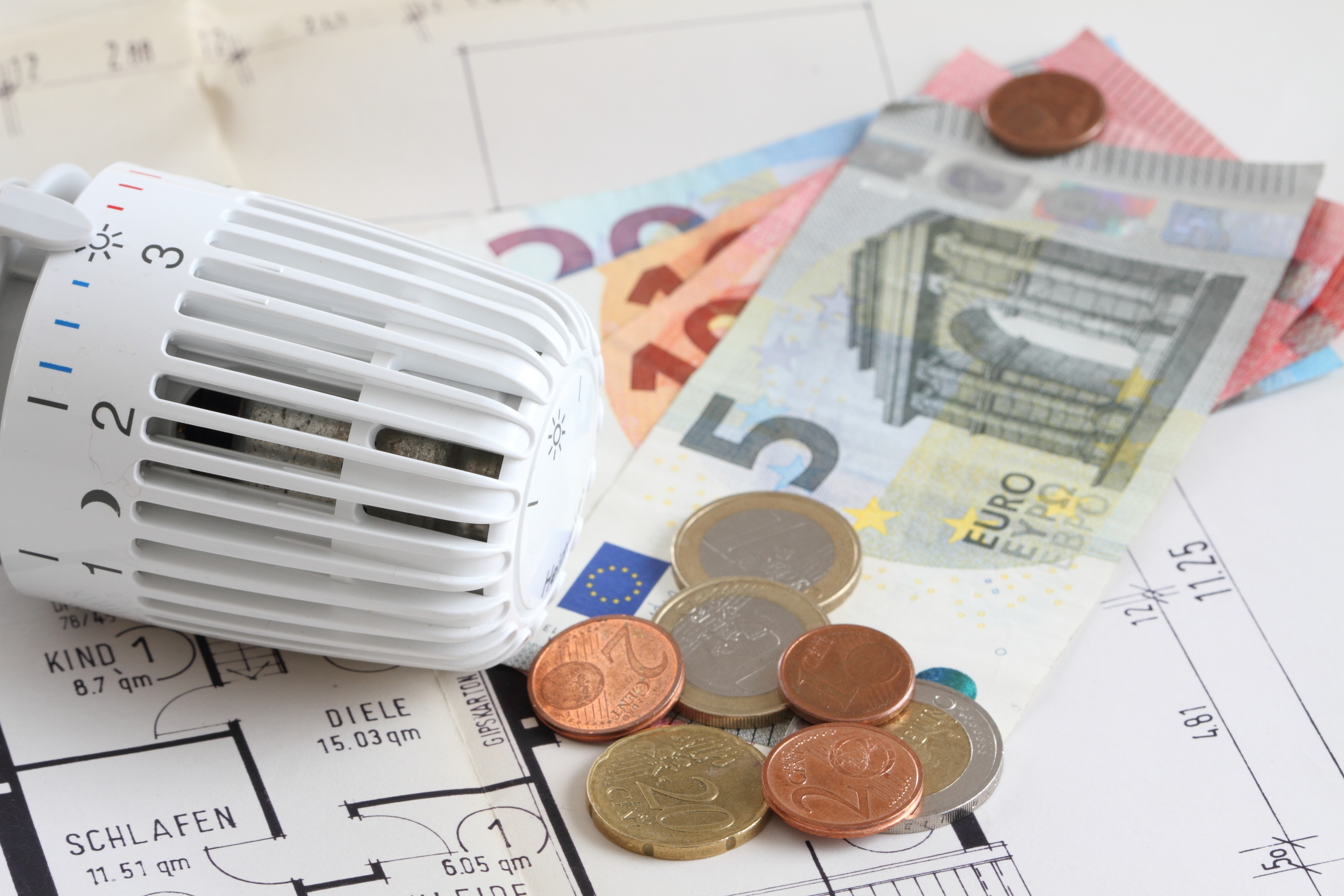 Thermostat, Grundriss und Geld