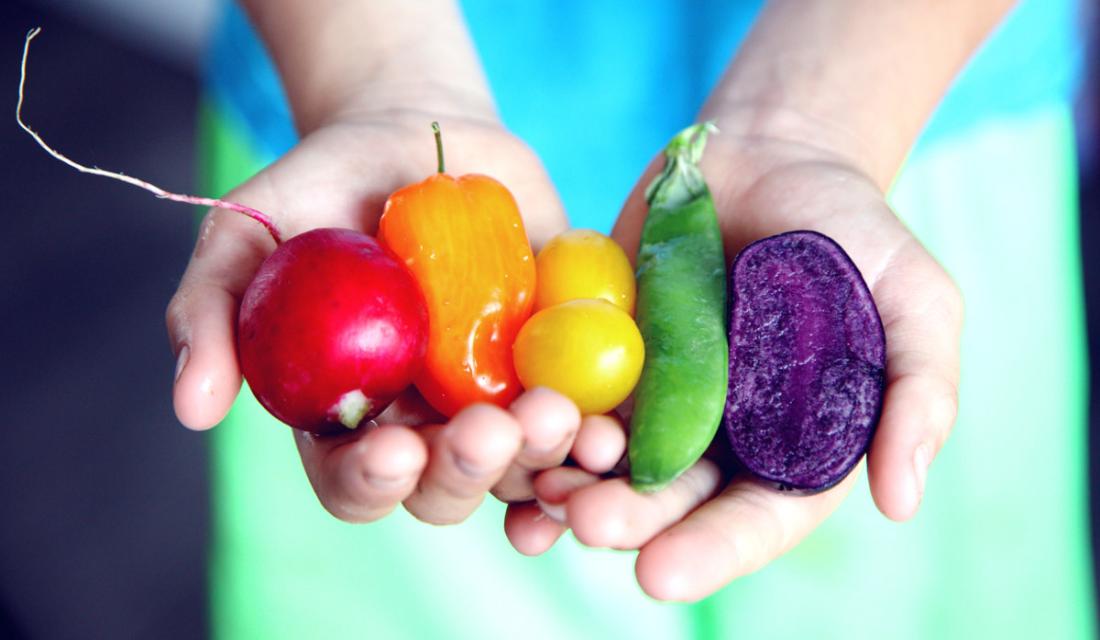 Alles Veggie Workshop VZB (c) Sharon McCutcheon / pexels