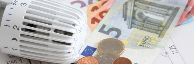 Thermostat, Grundriss und Geld