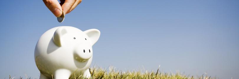 Nachhaltige Sparanlagen