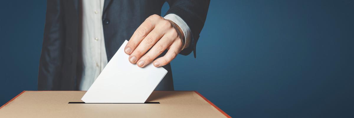 Titelbild Landtagswahlen 2019 Brandenburg VZB landespolitische Forderungen