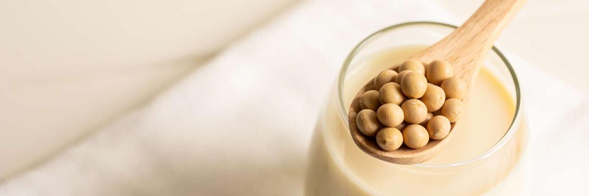 Ein Glas cremige Sojamilch steht im Zentrum dieser hellen, minimalistischen Komposition auf einem weißen Stoffuntergrund, während ein darüber balancierter Holzlöffel eine Häufung runder, gelblicher Sojabohnen präsentiert. Die sanfte Beleuchtung in warmen Beigetönen betont die natürliche Textur der Zutaten, die durch weitere dekorativ verstreute Bohnen im weichgezeichneten Hintergrund ergänzt werden.